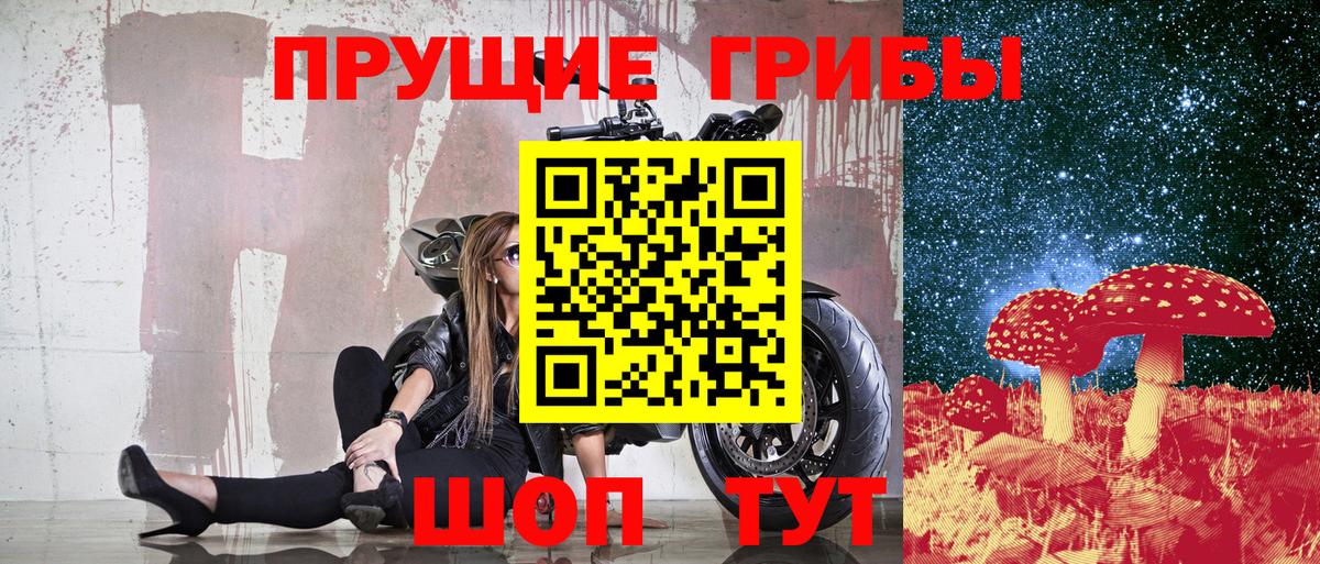 Галлюциногенные грибы GOLDEN TEACHER  купить   Тайшет  Вход с VPN  Псилоцибиновые грибы мухоморы 
